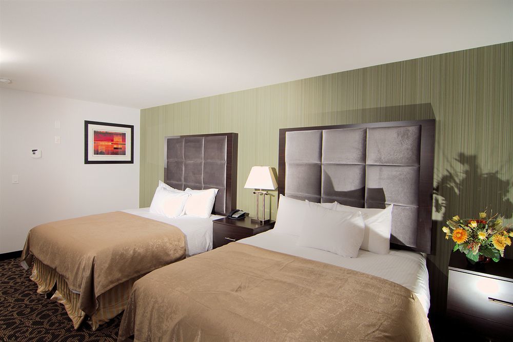 Paradise Inn&Suites Redwater Bagian luar foto